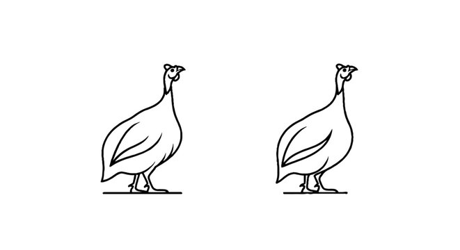 Two quail birds standing side by side illustration.