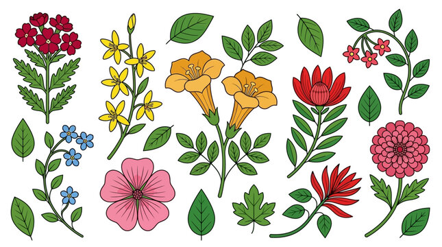 Conjunto de ilustra&ccedil;&otilde;es bot&acirc;nicas desenhadas &agrave; m&atilde;o com v&aacute;rias flores coloridas, folhas verdes e ramos detalhados, isolados em um fundo branco para design criativo e decora&ccedil;&atilde;o.