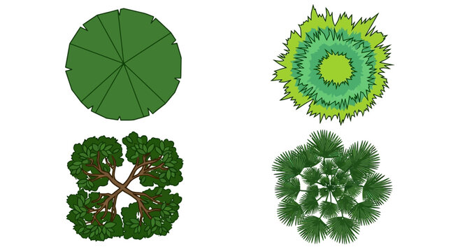 Conjunto de quatro ilustra&ccedil;&otilde;es vetoriais de &aacute;rvores vistas de cima, representando diferentes esp&eacute;cies de folhagem e copas para projetos de arquitetura, paisagismo e design urbano.