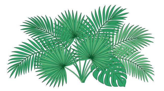 Eine detaillierte Illustration einer tropischen Pflanzengruppe mit verschiedenen Palmenbl&auml;ttern und einem Monstera-Blatt, isoliert auf einem wei&szlig;en Hintergrund f&uuml;r kreative Designs.