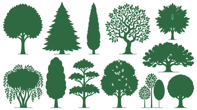 Conjunto de siluetas de &aacute;rboles verdes variados que muestran diferentes especies y formas bot&aacute;nicas sobre un fondo blanco limpio, ideal para dise&ntilde;o gr&aacute;fico y proyectos de arquitectura paisajista.