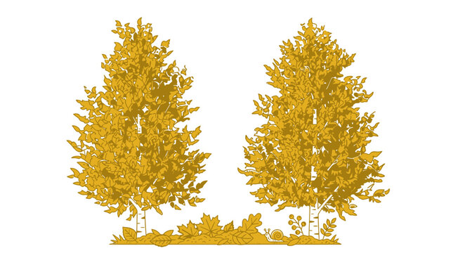 Ilustraci&oacute;n vectorial de dos &aacute;rboles de hoja caduca con follaje dorado oto&ntilde;al y hojas ca&iacute;das en el suelo, aislados sobre un fondo blanco limpio para dise&ntilde;o gr&aacute;fico.