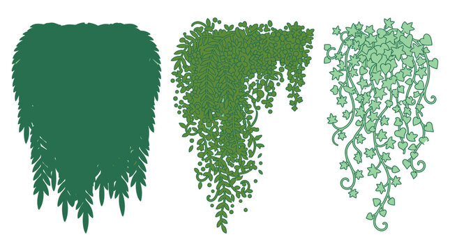 Conjunto de ilustra&ccedil;&otilde;es vetoriais de plantas pendentes e trepadeiras com diferentes estilos de folhagem verde isoladas em fundo branco para design gr&aacute;fico e decora&ccedil;&atilde;o bot&acirc;nica.