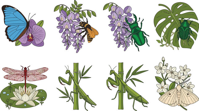 Conjunto de ilustraciones vectoriales de insectos y flores ex&oacute;ticas con mariposa azul, abejorro, escarabajo, lib&eacute;lula, mantis religiosa y polilla sobre un fondo blanco aislado
