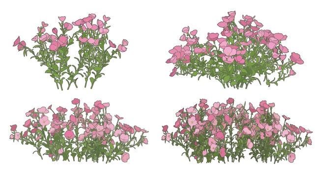 Conjunto de quatro ilustra&ccedil;&otilde;es de arbustos com flores cor-de-rosa isoladas em fundo branco, perfeitas para design paisag&iacute;stico, elementos decorativos de jardim e projetos bot&acirc;nicos.