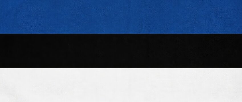 The national flag of Estonia, featuring three horizontal stripes of blue, black, and white