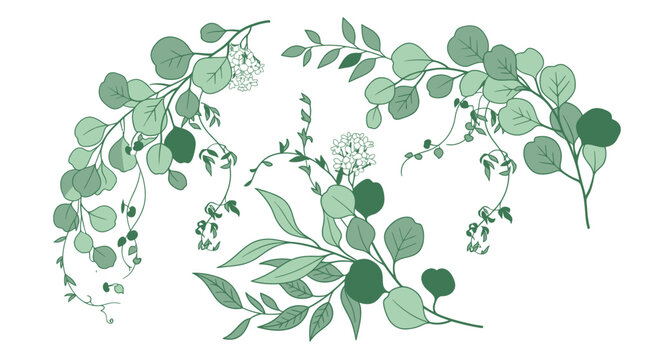 Set di illustrazioni botaniche con rami di eucalipto e foglie verdi disegnate a mano su sfondo bianco, ideali per decorazioni eleganti, inviti di nozze e design grafico naturale.
