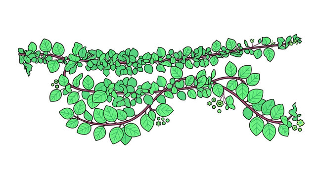 Ilustraci&oacute;n vectorial de una enredadera con hojas verdes vibrantes y tallos delgados sobre un fondo blanco, ideal para dise&ntilde;os decorativos, elementos bot&aacute;nicos y proyectos de naturaleza.