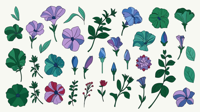 Set di illustrazioni vettoriali disegnate a mano con fiori di petunia, boccioli e foglie verdi in stile botanico decorativo su sfondo chiaro per design creativo