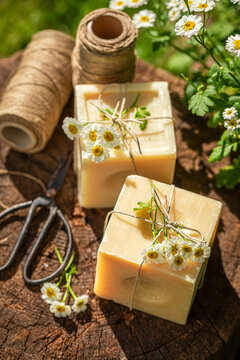 Handmade and natural chamomile soap good for skin
