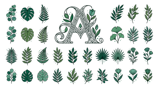 植物の装飾が施されたアルファベットの文字Aと、様々な種類の葉や花を描いた手描き風のボタニカルイラストレーションのセットで、白背景に隔離されたデザイン素材。