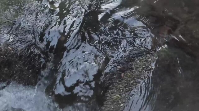 Close-up of clear flowing water cascading over moss-covered rocks in a serene natural forest stream