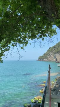 Turquoise Black Sea Coast Framed by Green Tree Branches at Inkumu Beach, Bartin, Turkey