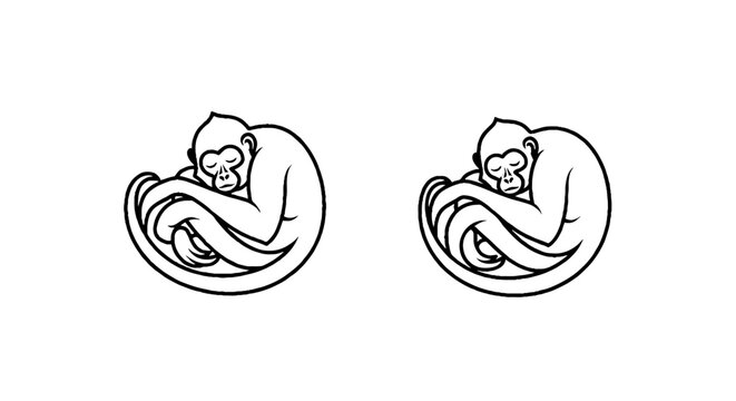 Two sleeping monkeys in curled positions illustration.