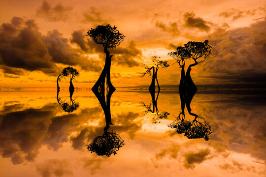 Pantai Walakiri Dancing Mangrove Trees silhouettes at Sunset in East Sumba