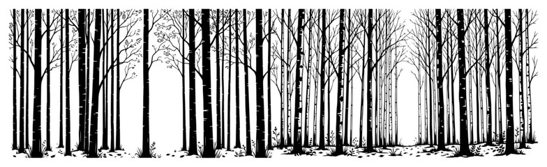 winter forest border background with bare tree trunks line art landscape design © UrbanDruid