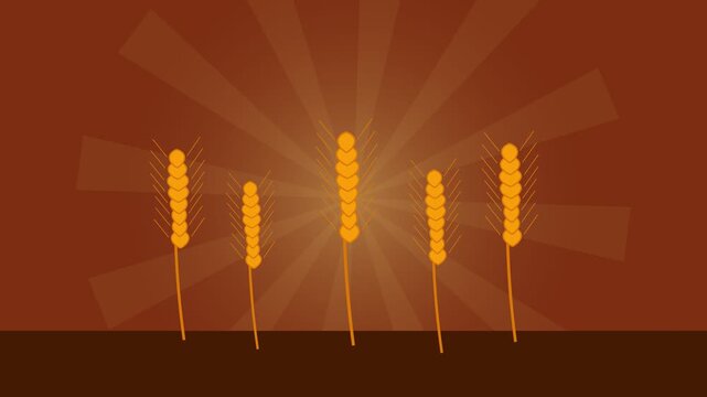 Minimalist illustration of stylized wheat stalks against a sunburst background