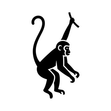 Silhouette Monkey Swinging on Branch