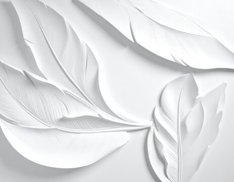An abstract, minimalist composition featuring delicate white feathers in soft light.