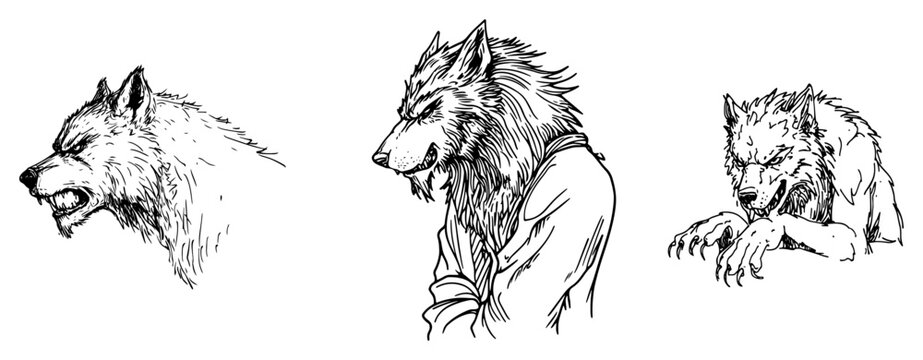 Werewolf creature character set featuring wolf man portraits in vintage ink sketch style