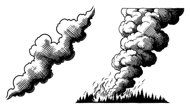 Forest fire with massive smoke plumes and burning trees vintage engraving style