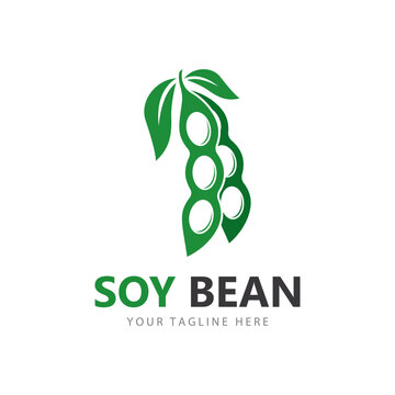 nature green soybean logo design. green soy bean illustration design healthy food logo
