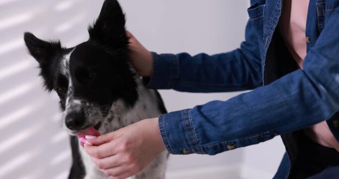 Woman giving pill to her dog at home, closeup