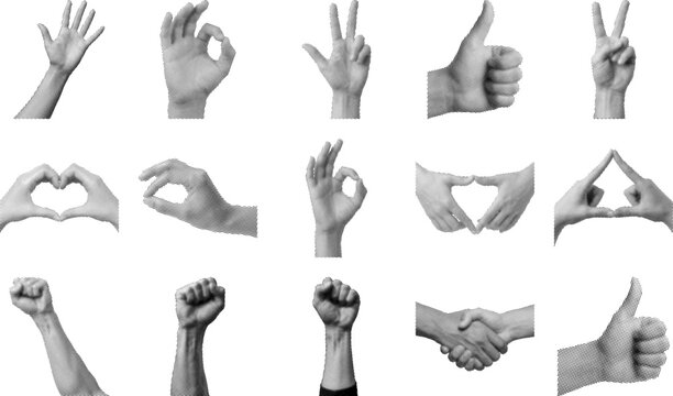 Collection of various hand gestures and signs on white background