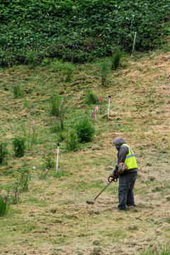 Landscaper in fluorescent safety vest working in right of way with gas powered weedwhacker cutting back tall grass, workman using power tool
