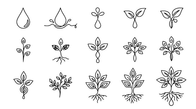 Hand-drawn botanical icons: water drop, seedling, growing plant, flourishing tree, nature symbols