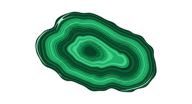 Beautiful green malachite gemstone stone slice abstract background texture vector illustration graphic design element