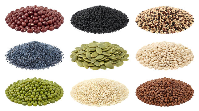 Assortment of various beans seeds and grains in piles on transparent background.