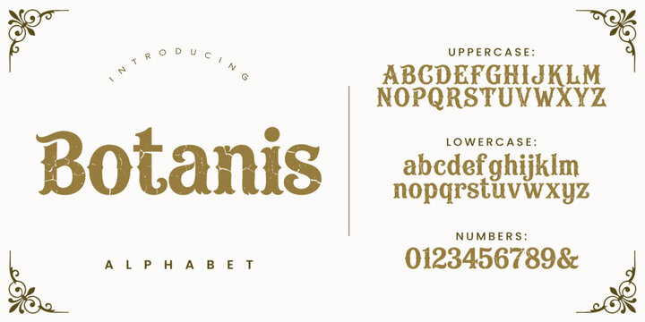 Botanis vintage eroded serif font classic elegant typeface for luxury boutique branding design