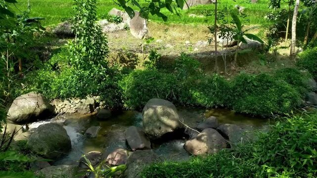 Water trickles gently across scattered stones, the soft, natural ASMR sound rising as the river continues its quiet flow, ideal for deep relaxation and unwinding from daily stress.