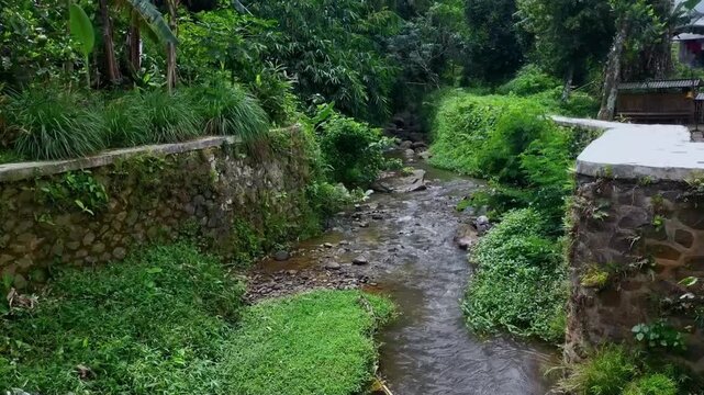 The river moves gently across a rocky riverbed, its quiet, consistent flow producing a soft ASMR trickle over the uneven stone surface, ideal for relieving stress after a long day.
