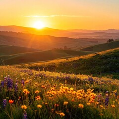 A vibrant field of wildflowers bathed in the warm glow of a golden sunrise. © Prapto