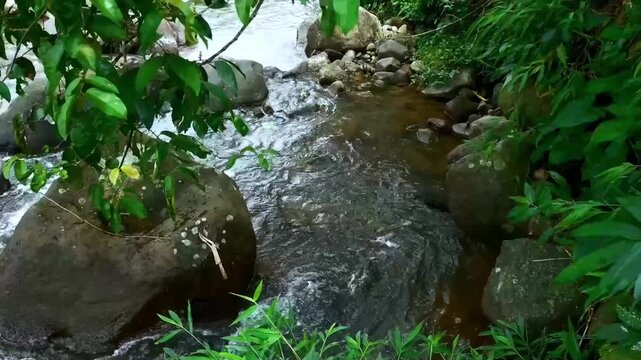 The river moves gently across a rocky riverbed, its quiet, consistent flow producing a soft ASMR trickle over the uneven stone surface, ideal for relaxation and deep sleep.