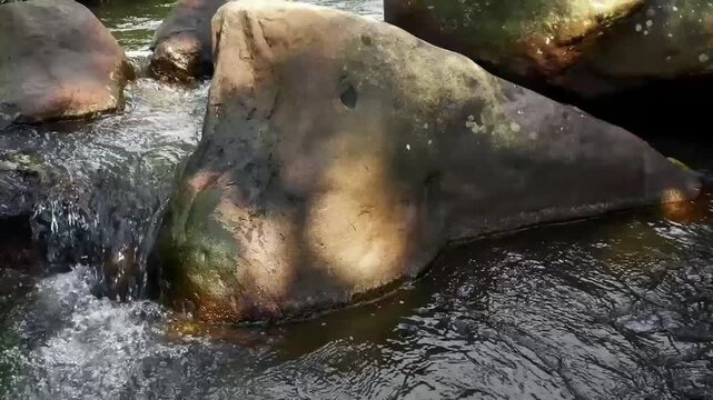 Water flows steadily between scattered rocks, producing a natural ASMR murmur as the current gently pushes past each stone, helping to calm the mind and ease into restful sleep.
