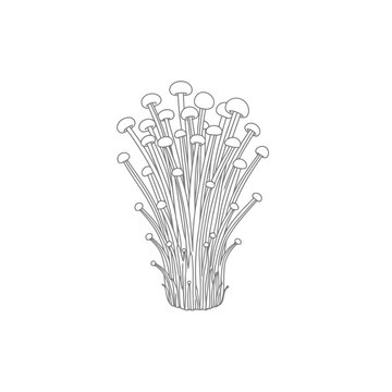 Black and white outline showing the slender shapes of enoki mushrooms arranged in a bunch depicting organic edible fungi growth for culinary recipe designs and health conscious food nutrition