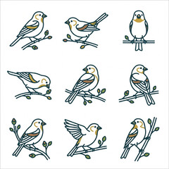Colorful songbirds perched on branches illustration. © Mutmainah