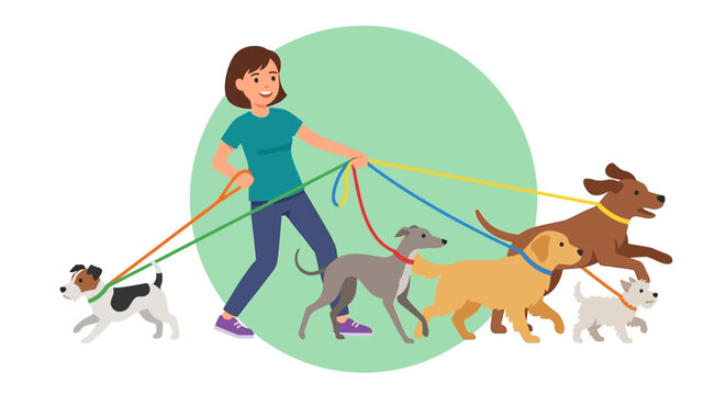 Woman walking multiple dogs on leashes outdoors.