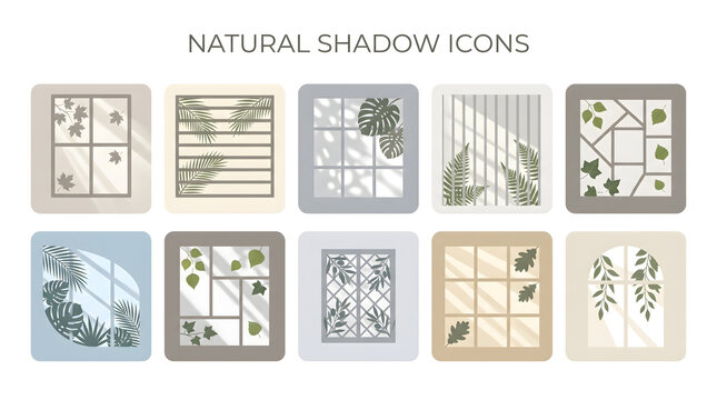 Natural Shadow Icons: Window Light Effects, Plant Shadows, Aesthetic Design Elements, Realistic Overlays for Branding & Web