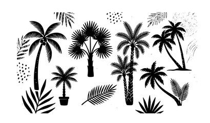 Naklejka premium Tropical Palm Tree Silhouette Set with Coconut and Beach Palms Isolated on White