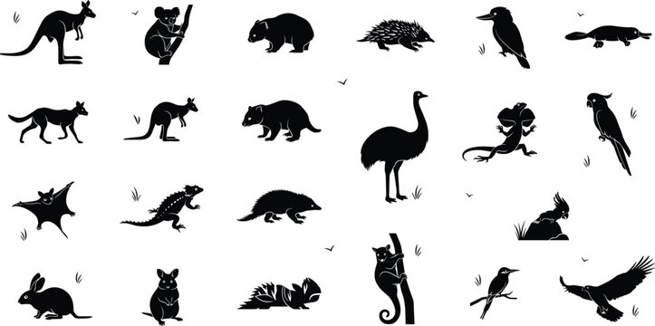 Australian wildlife and native animal silhouette icon set featuring kangaroo koala wombat emu platypus echidna dingo kookaburra and frilled lizard symbols