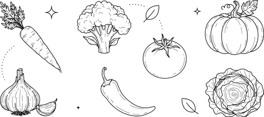 Fresh vegetable doodle line art vector illustration set featuring carrot garlic broccoli chili pepper tomato pumpkin and cabbage organic food farm harvest elements © Ms