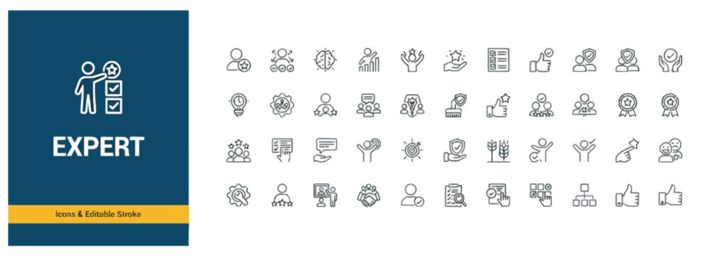 Professional expert and business performance line icon collection for corporate success strategy