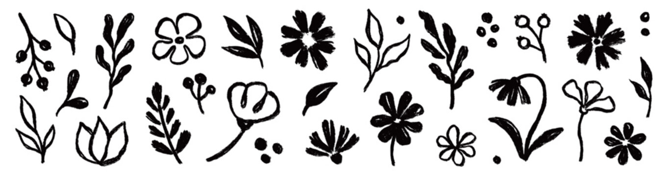Flower brush leaf floral set. Hand drawn flower brush leaf paint stroke sketch doodle nature. Botanical plant spring daisy poppy leaves herb summer organic background. Vector illustration