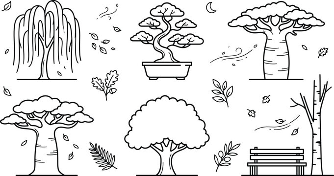 Botanical Tree Icon Set with Japanese Bonsai and African Baobab for Landscape Designs