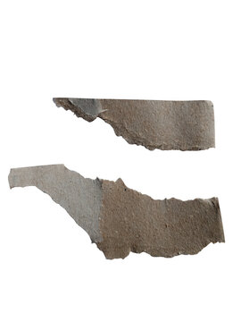 Detailed outline map of florida with textured fill