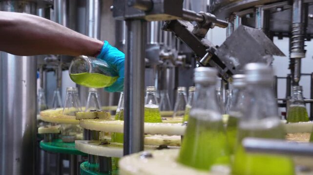 Worker hands wearing gloves placing empty glass bottles on industrial automated conveyor belt line inside modern  beverage factory production plant facility, manufacturing process in industry.